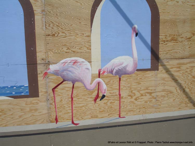 Les cygnes