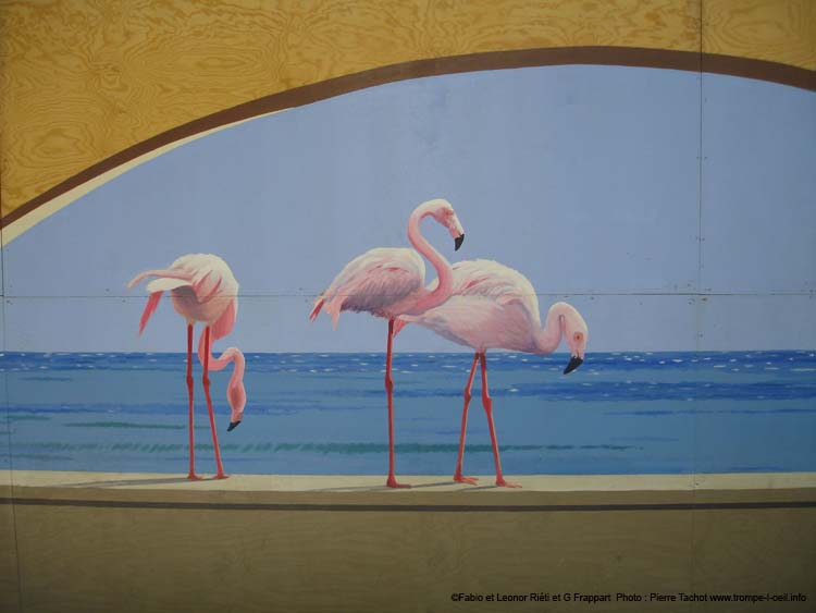 Les cygnes