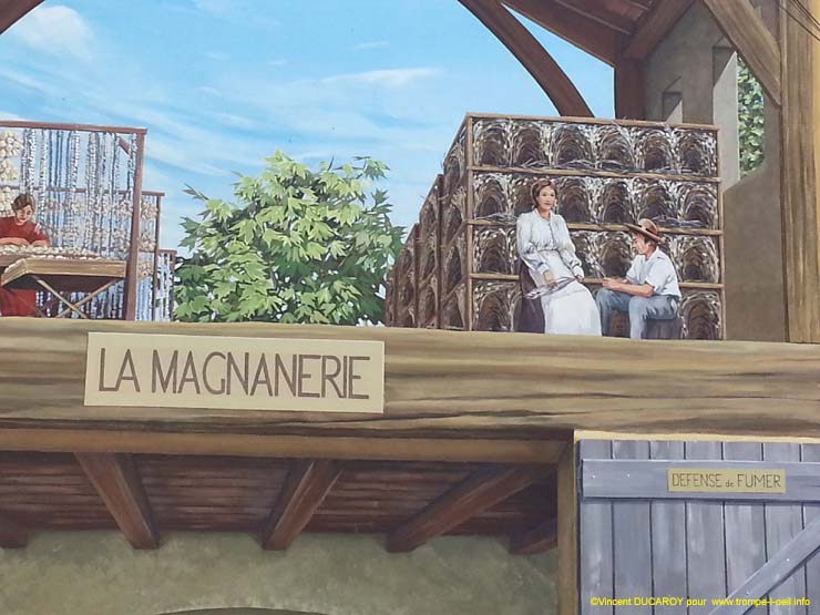 Cannet des Maures