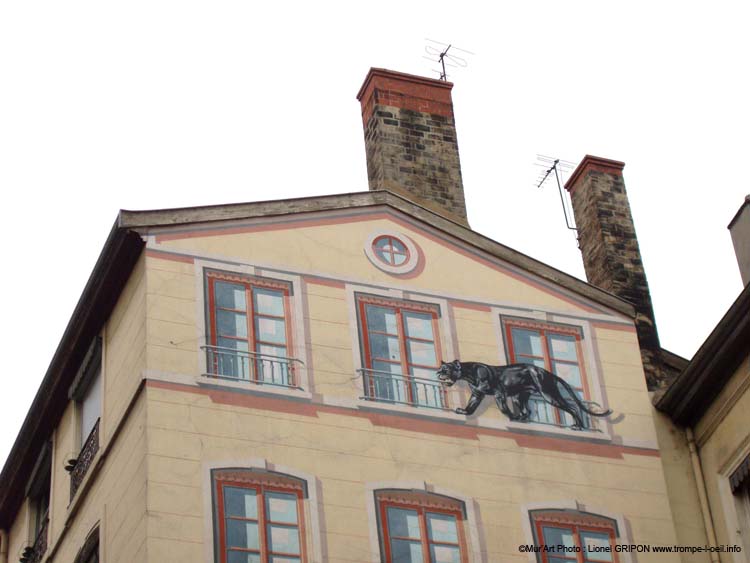 Les félins