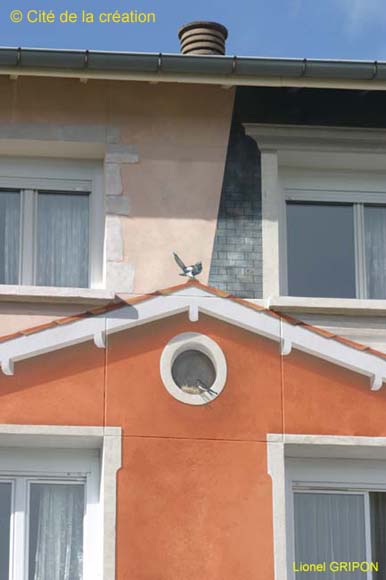 La cité habillée