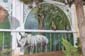 Zoo