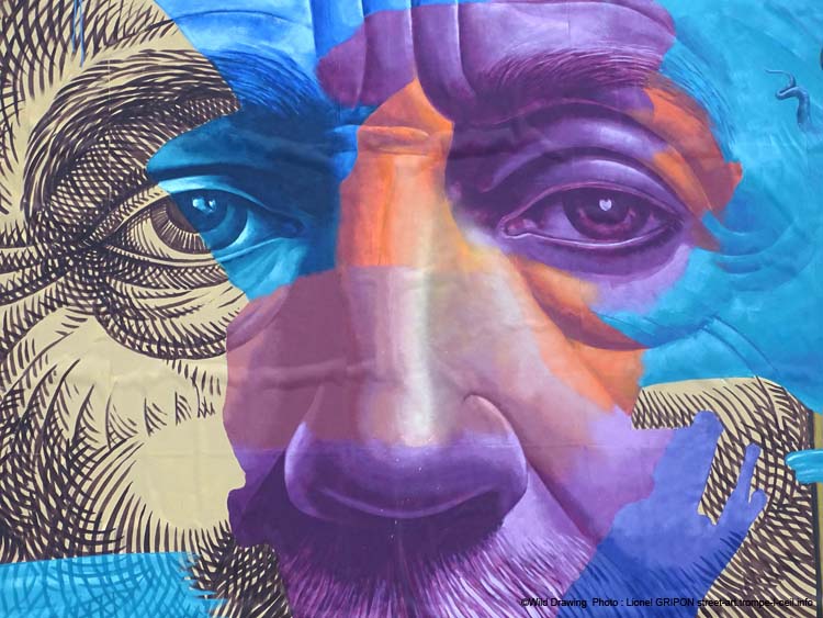 Graffic Art 2023 – WD