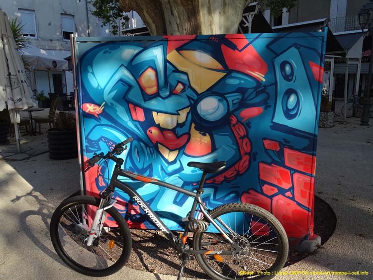 Animaux graffeurs