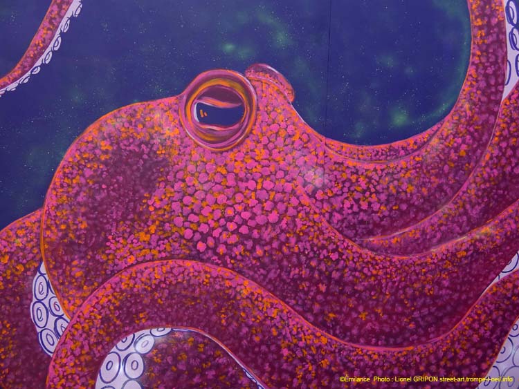 Pieuvre et poissons