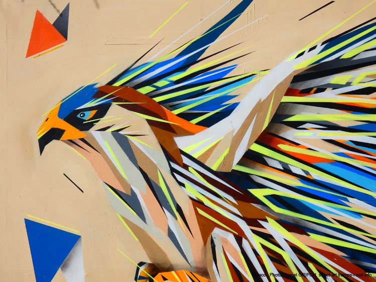 Oiseau en vol