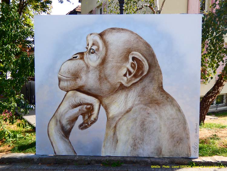 Singe penseur