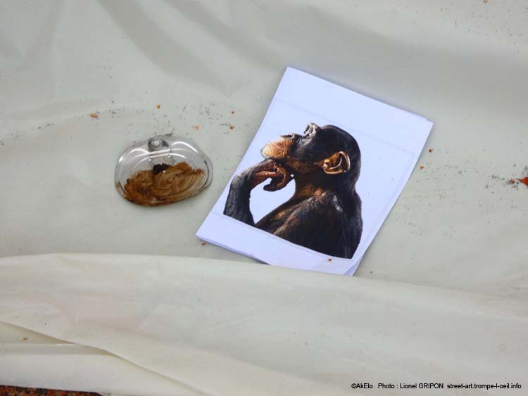 Singe penseur