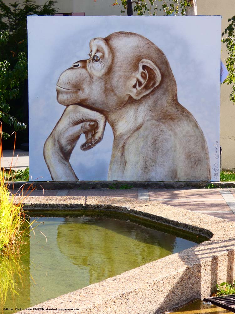 Singe penseur