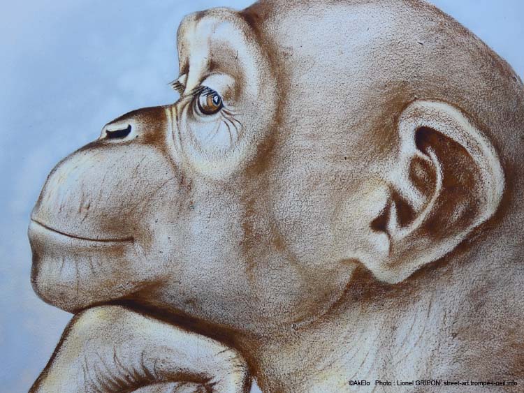 Singe penseur
