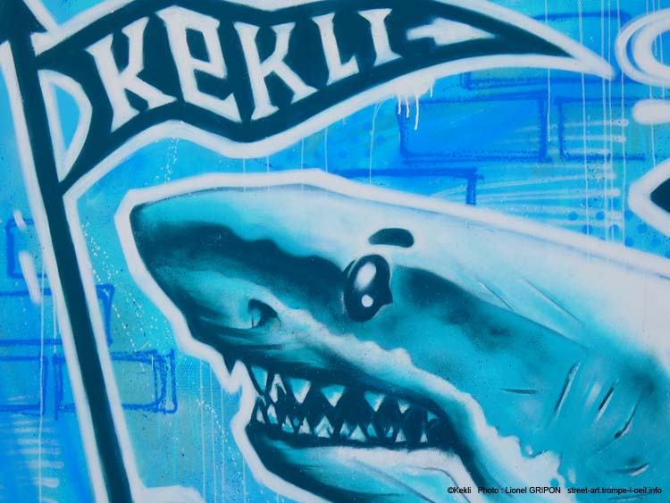 Graffeur requin