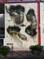 Graffic Art 2021 – Braga