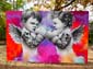 Anges boxeurs
