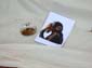 Singe penseur