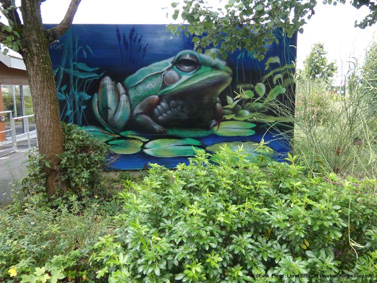 Le crapaud