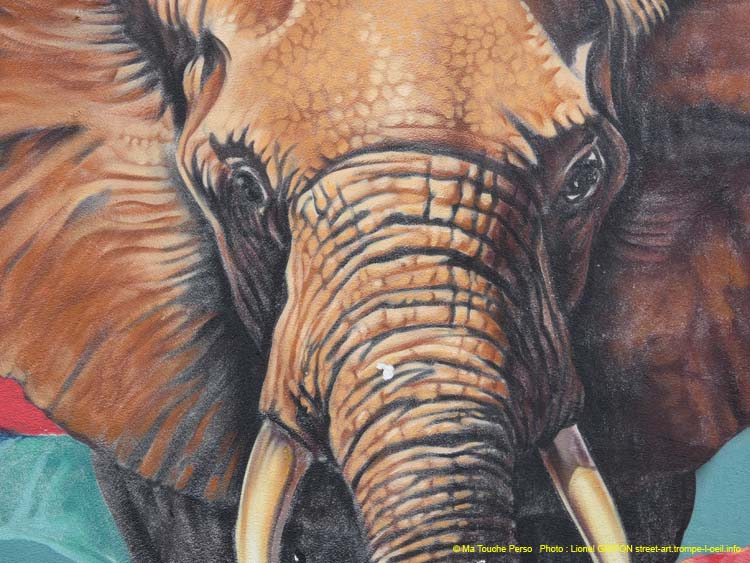Faune dans la cité