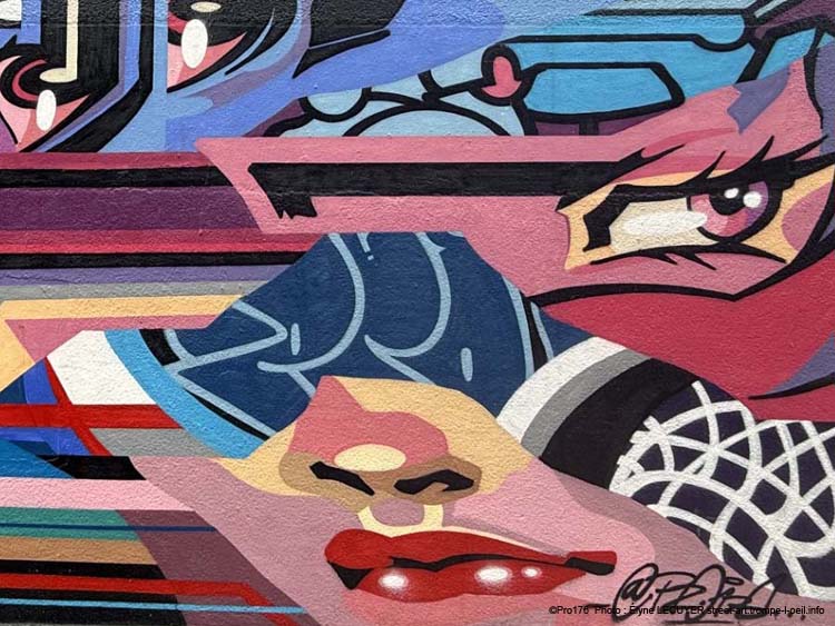 Le Mur Rouen-02 Pro176