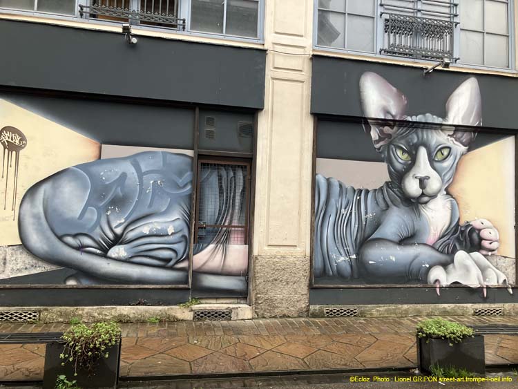 Sphynx allongé