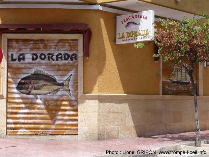 Torrevieja12