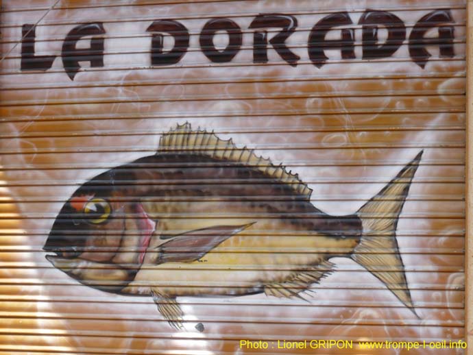 Torrevieja12
