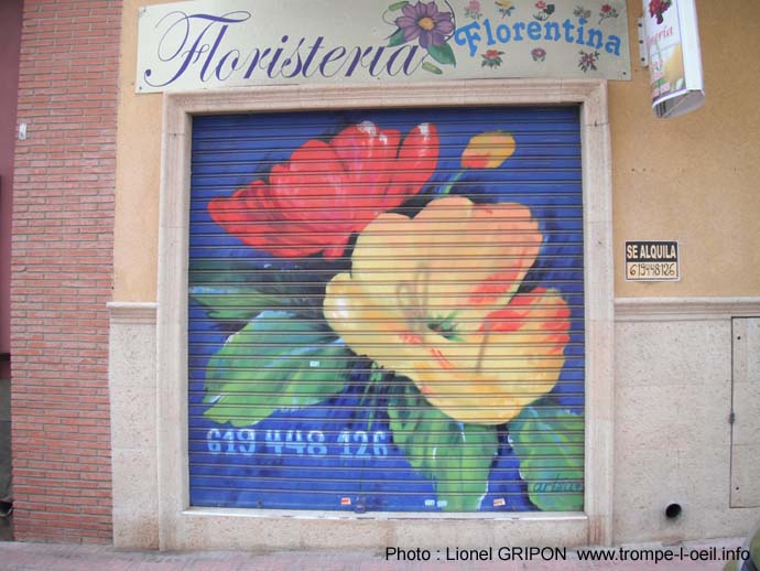 Torrevieja27