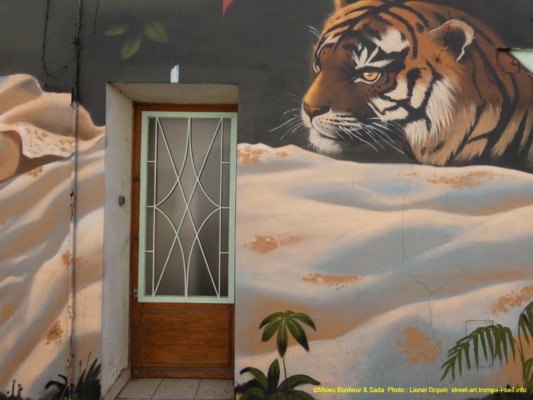 Belle et tigres