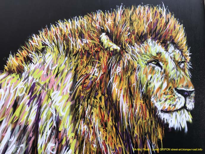 Roi Lion