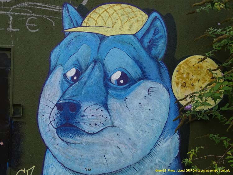 Chien à casquette