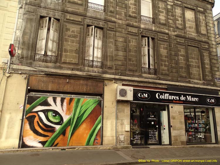 Jungle urbaine