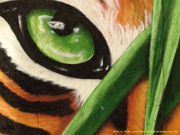 Jungle urbaine