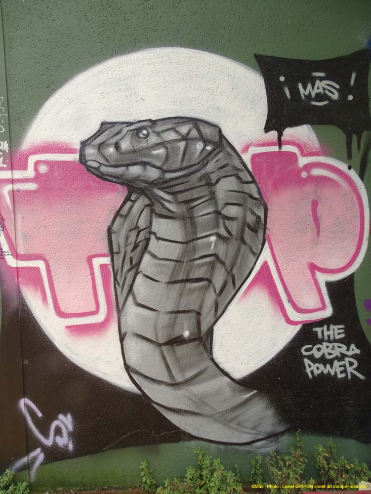 Cobra Power-02
