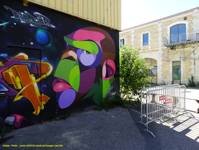 Singe coloré