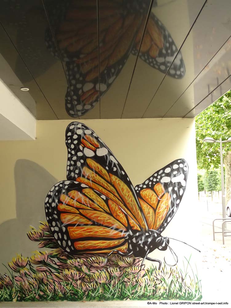 Insectes et biodiversité