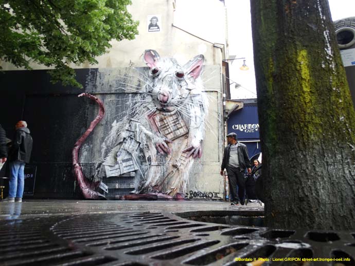 Le mur-44 Bordalo II