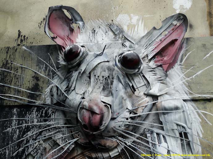 Le mur-44 Bordalo II