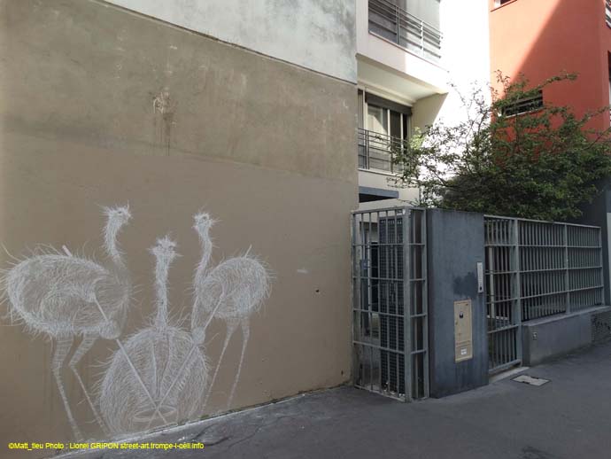 Les autruches-07