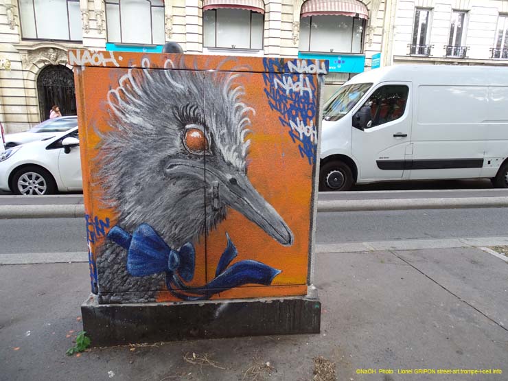 Autruches folies-4