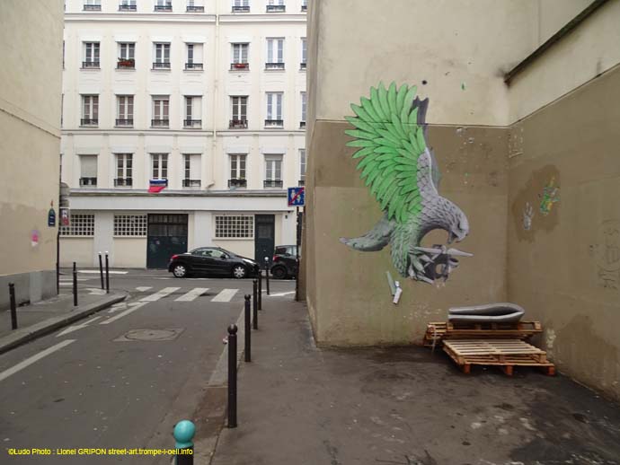 Rapace et drone