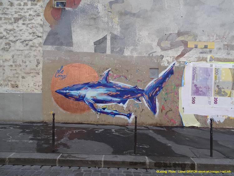 Requin Long