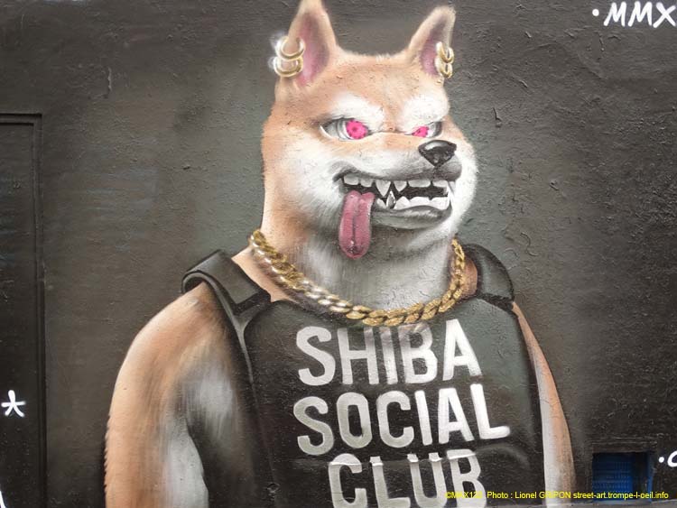 Shiba