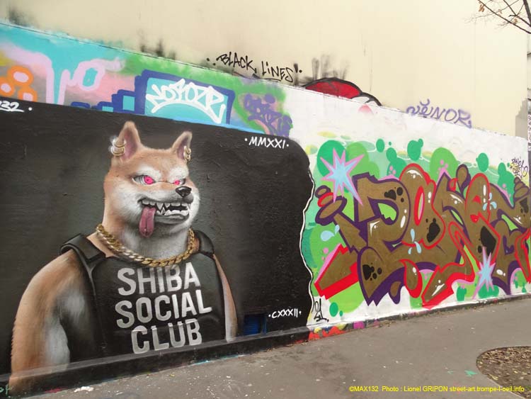 Shiba