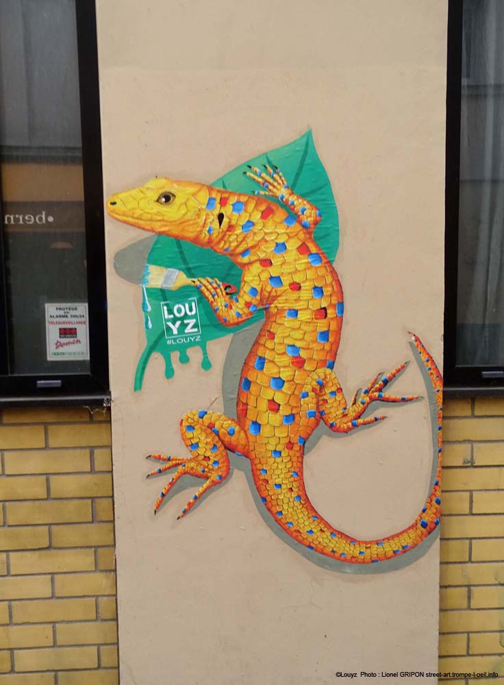 Lézard-19