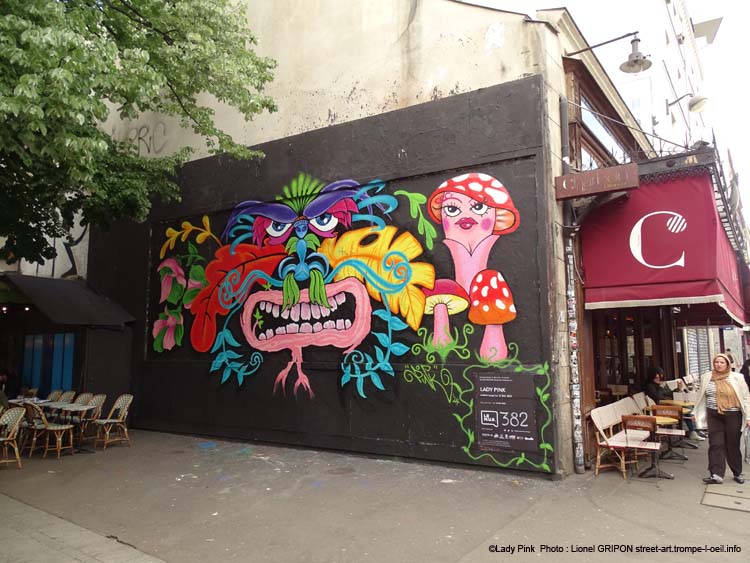 Le mur-164 Lady Pink