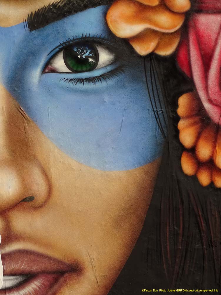 Le mur-175 Finbarr Dac