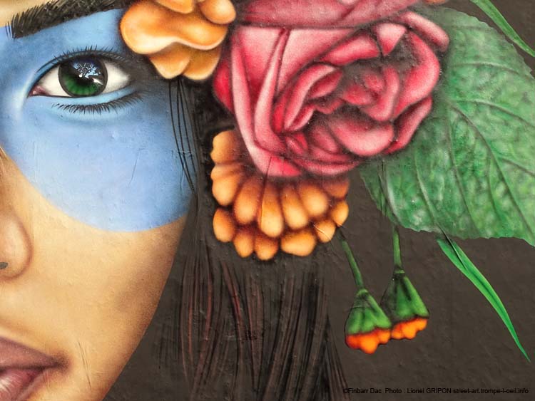 Le mur-175 Finbarr Dac