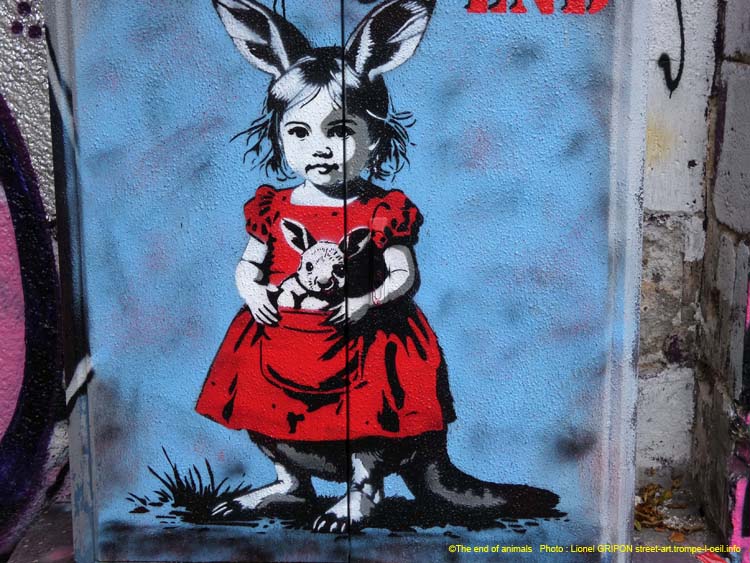 Fillette et wallaby-02