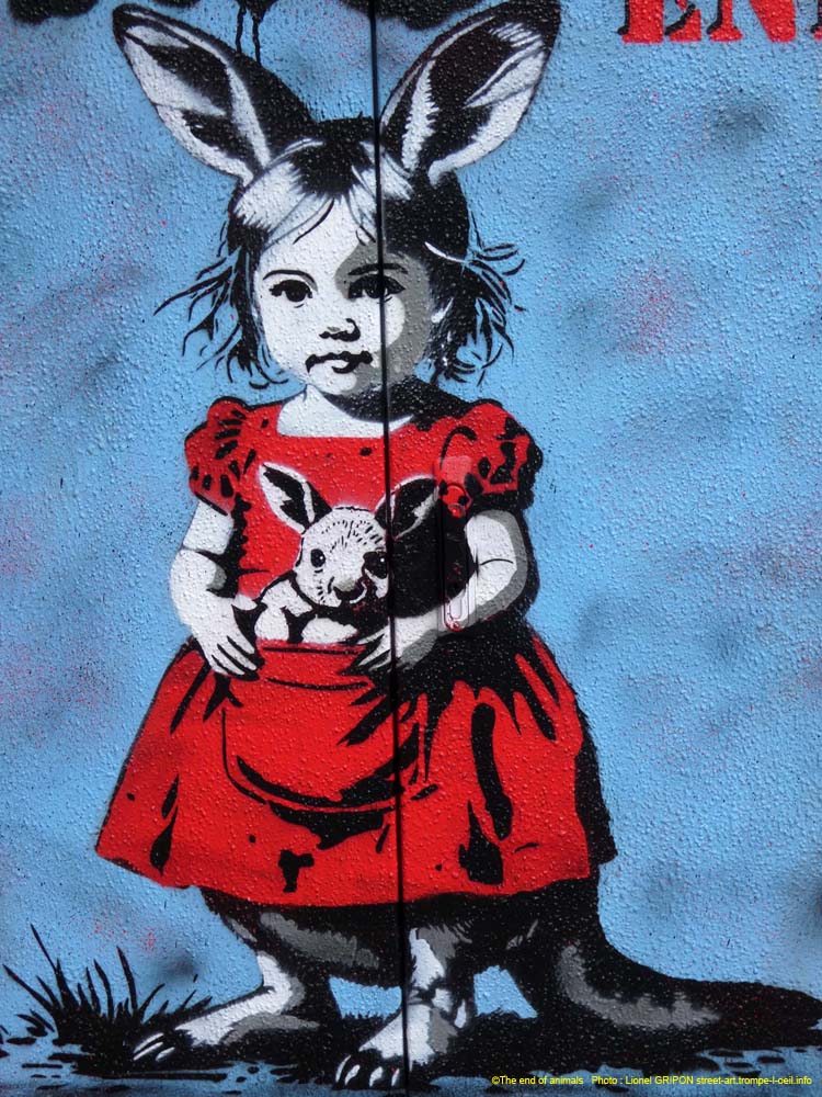 Fillette et wallaby-02