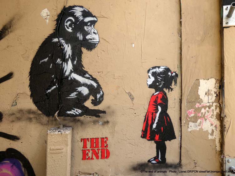 Fillette et chimpanzé-02
