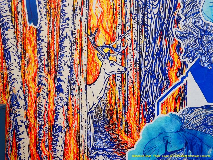 Forêt et incendie