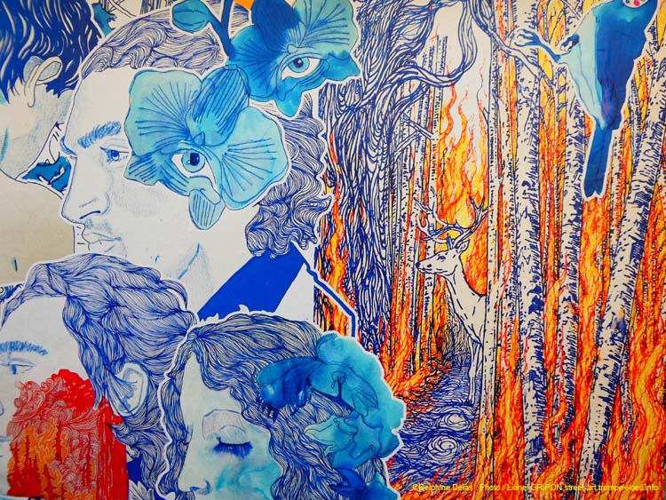 Forêt et incendie
